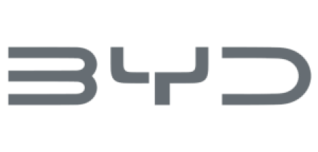 Logo BYD Pandeglang